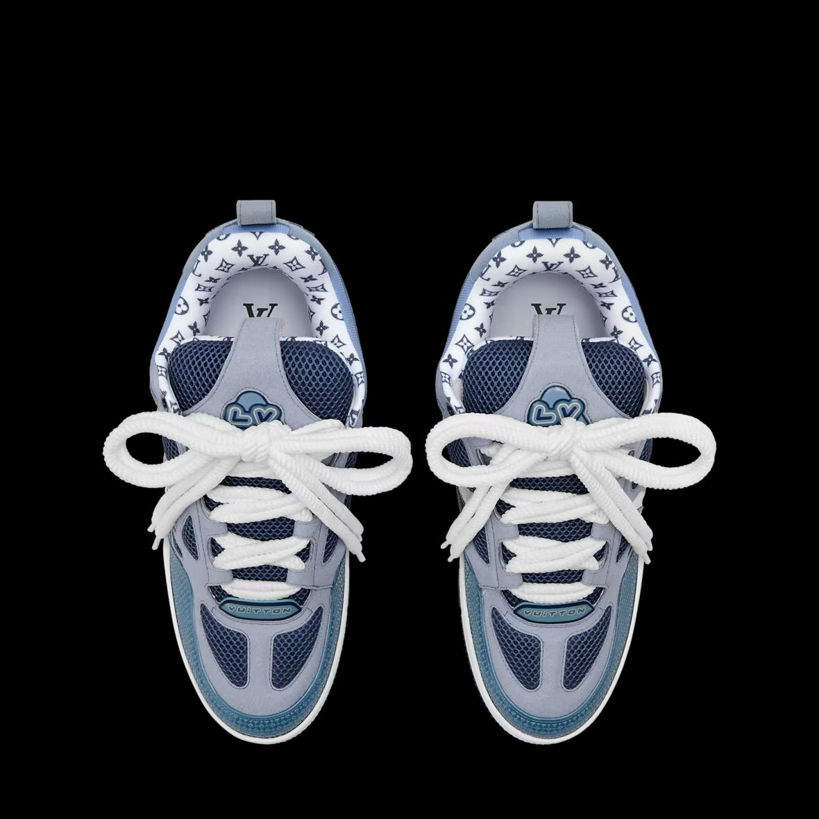LOUIS VUITTON SKATE