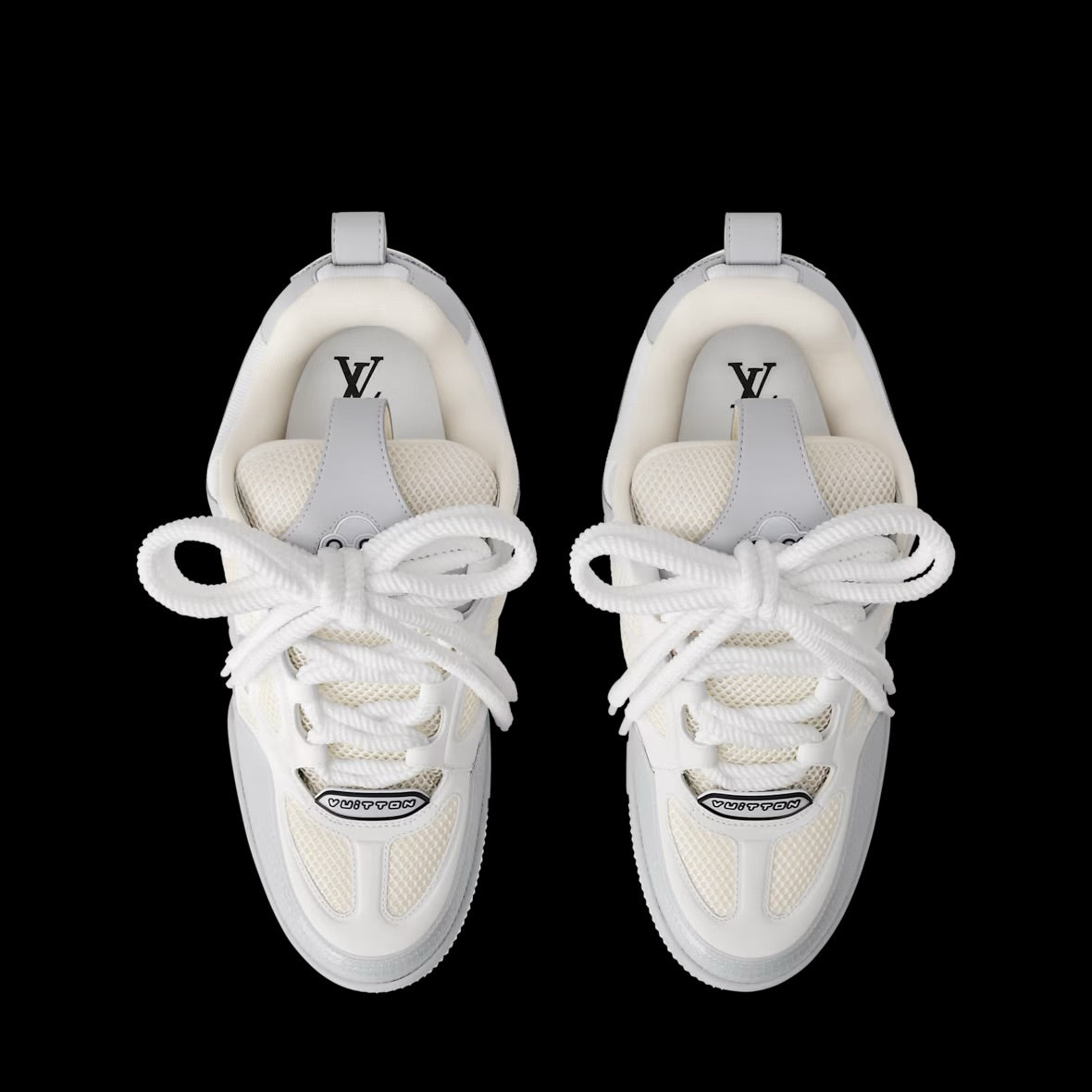 LOUIS VUITTON SKATE